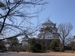 上野城と桜